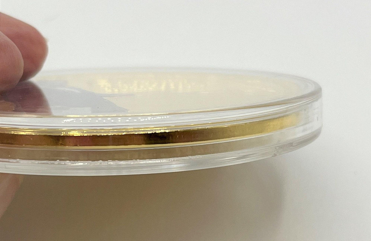 24K Gold Layered with Pad Print Colossal Gettysburg Address Commemorative Coin.  2.75"