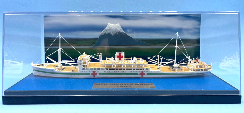 Model Ocean Liner Hospital Ship 1:700 Scale Hikawa Maru In Acrylic Display Case