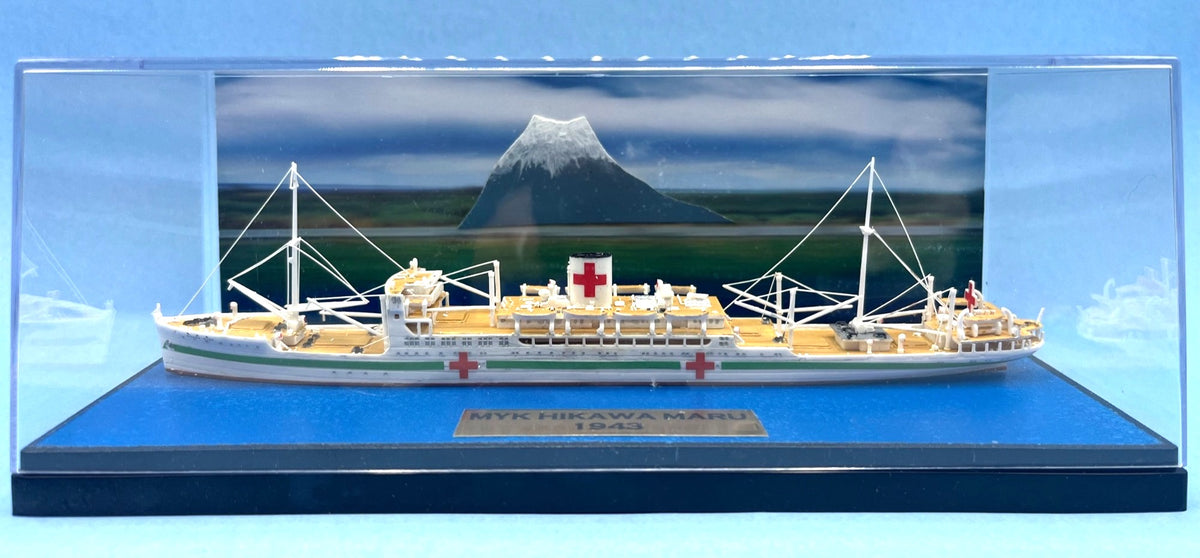 Model Ocean Liner Hospital Ship 1:700 Scale Hikawa Maru In Acrylic Display Case